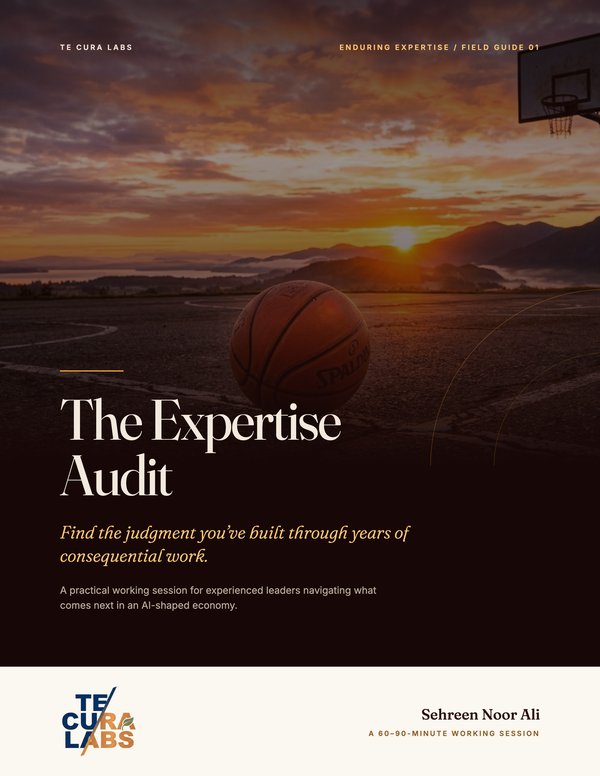 Cover of The Expertise Audit